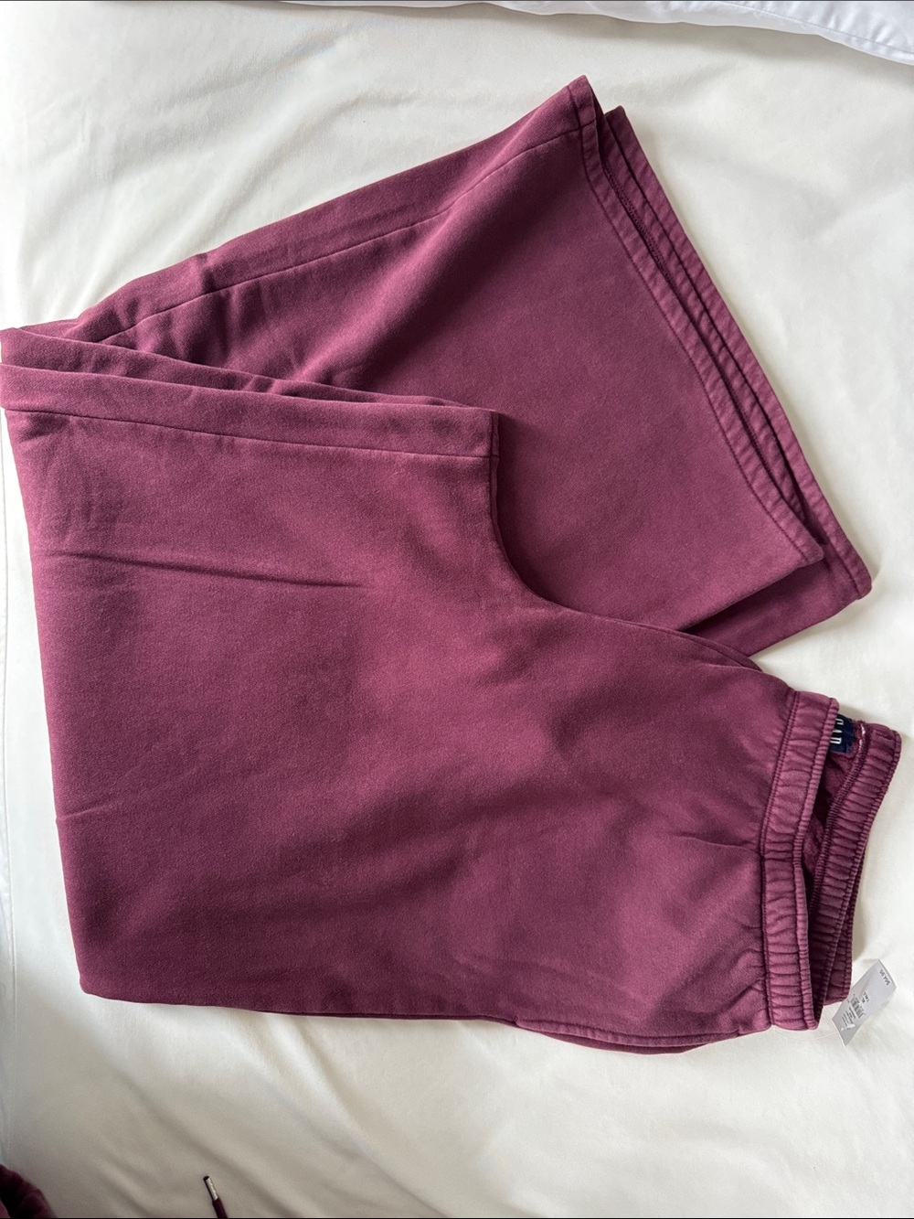 GAP Women's Plum Maroon Sweatpants